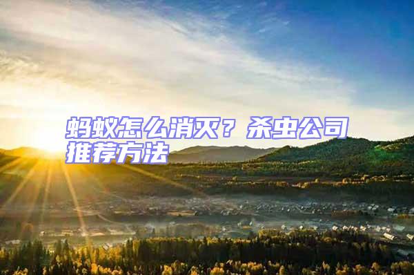 螞蟻怎么消滅？殺蟲(chóng)公司推薦方法