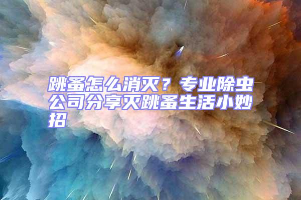 跳蚤怎么消滅？專業除蟲公司分享滅跳蚤生活小妙招