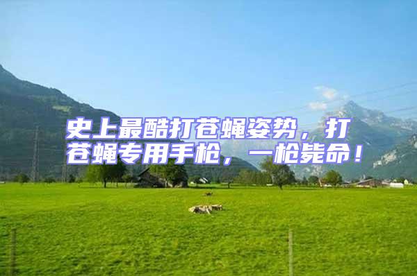 史上最酷打蒼蠅姿勢，打蒼蠅專用手槍，一槍斃命！