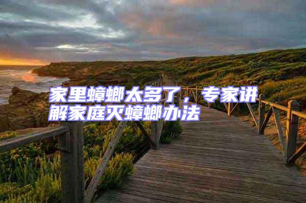 家里蟑螂太多了，專家講解家庭滅蟑螂辦法