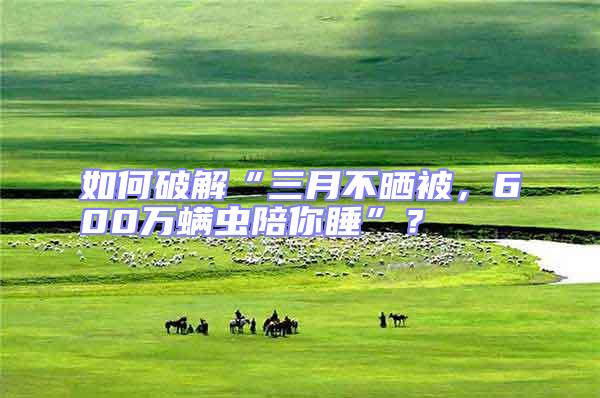 如何破解“三月不曬被，600萬螨蟲陪你睡”？