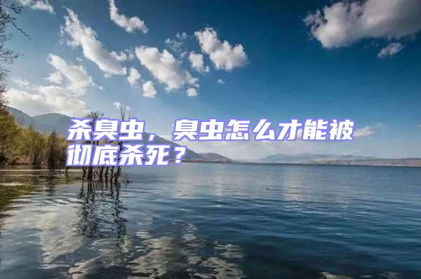 殺臭蟲(chóng)，臭蟲(chóng)怎么才能被徹底殺死？
