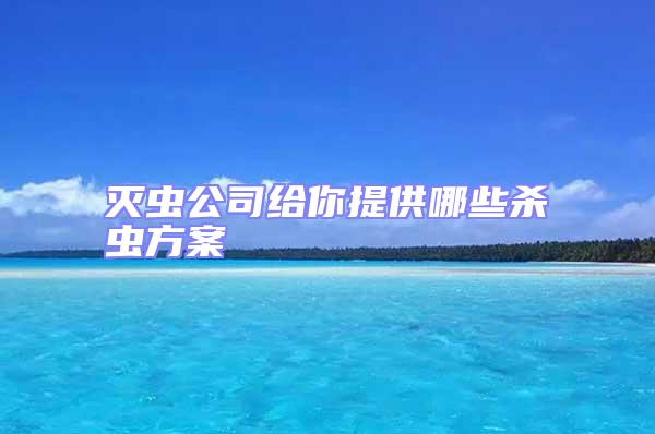滅蟲公司給你提供哪些殺蟲方案