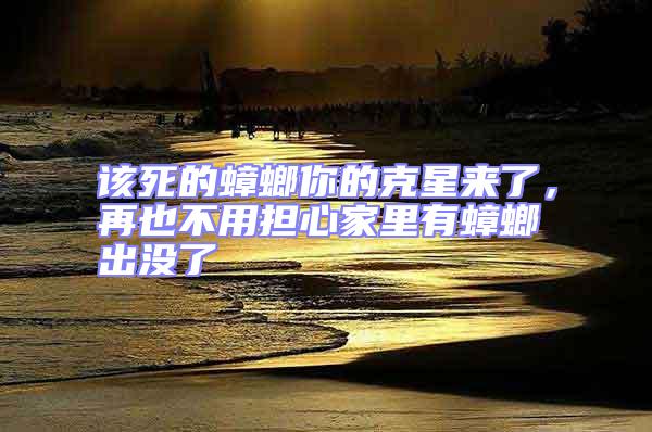 該死的蟑螂你的克星來(lái)了，再也不用擔(dān)心家里有蟑螂出沒(méi)了