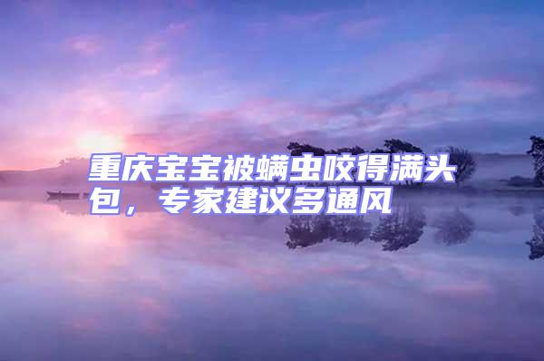 重慶寶寶被螨蟲咬得滿頭包，專家建議多通風