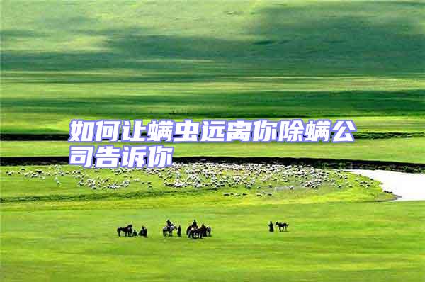 如何讓螨蟲遠(yuǎn)離你除螨公司告訴你