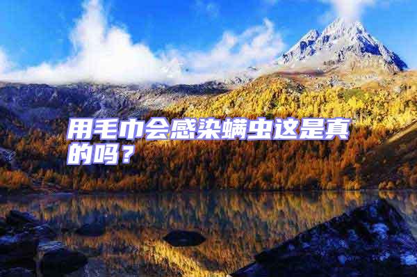 用毛巾會感染螨蟲這是真的嗎？