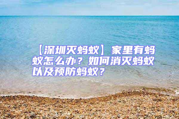 【深圳滅螞蟻】家里有螞蟻怎么辦？如何消滅螞蟻以及預防螞蟻？