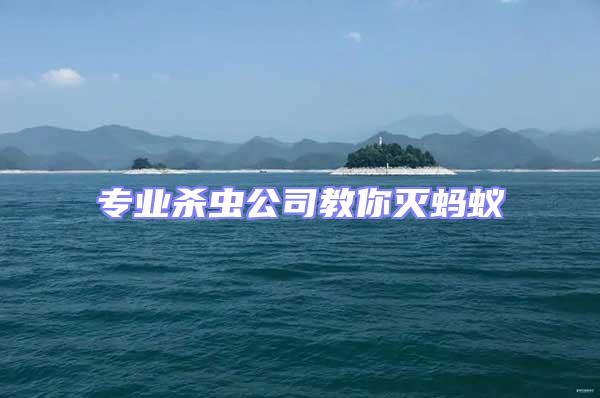 專業(yè)殺蟲公司教你滅螞蟻