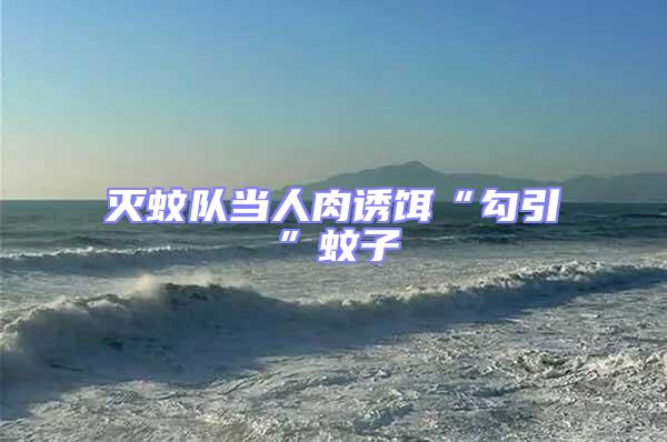 滅蚊隊(duì)當(dāng)人肉誘餌“勾引”蚊子