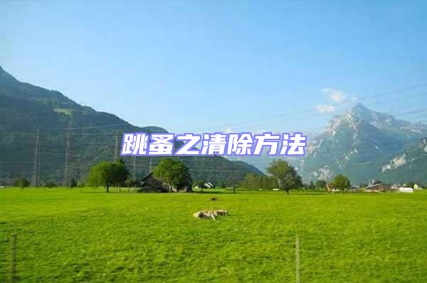 跳蚤之清除方法