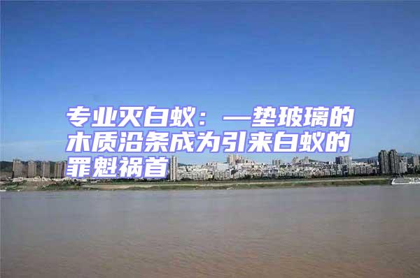 專業滅白蟻：—墊玻璃的木質沿條成為引來白蟻的罪魁禍首