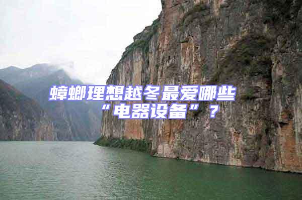 蟑螂理想越冬最愛哪些“電器設(shè)備”？