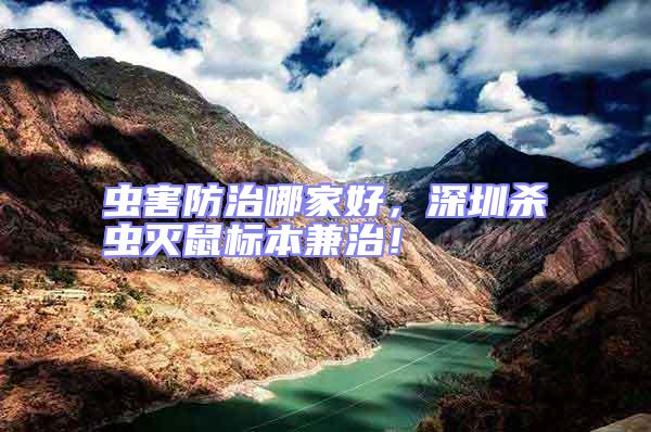 蟲(chóng)害防治哪家好，深圳殺蟲(chóng)滅鼠標(biāo)本兼治！