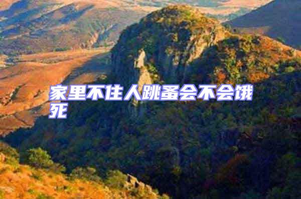 家里不住人跳蚤會不會餓死