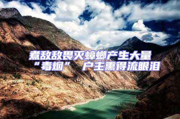 煮敵敵畏滅蟑螂產生大量“毒煙” 戶主熏得流眼淚