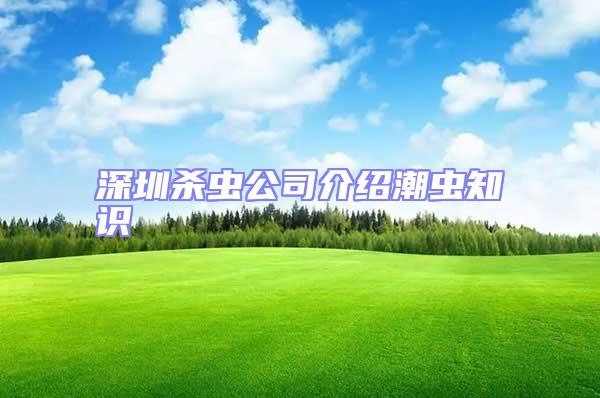 深圳殺蟲公司介紹潮蟲知識
