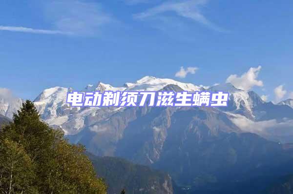 電動(dòng)剃須刀滋生螨蟲(chóng)