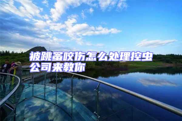 被跳蚤咬傷怎么處理控蟲公司來教你