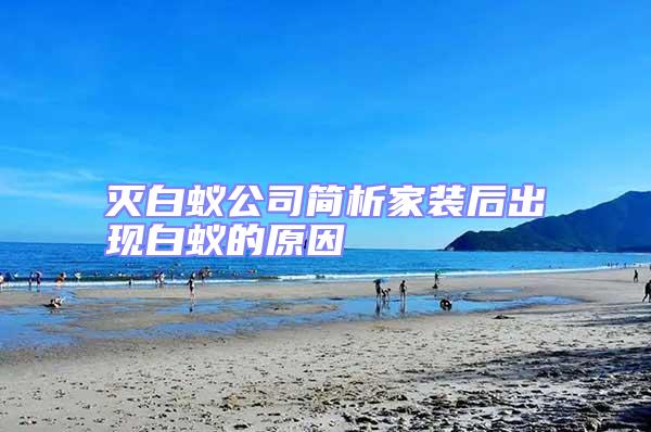 滅白蟻公司簡析家裝后出現白蟻的原因