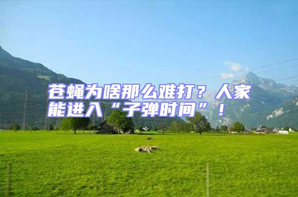 蒼蠅為啥那么難打？人家能進(jìn)入“子彈時間”！