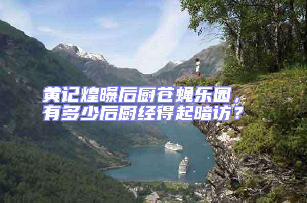 黃記煌曝后廚蒼蠅樂園， 有多少后廚經得起暗訪？