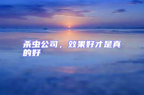 殺蟲公司，效果好才是真的好