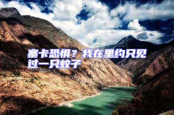 寨卡恐懼？我在里約只見過一只蚊子