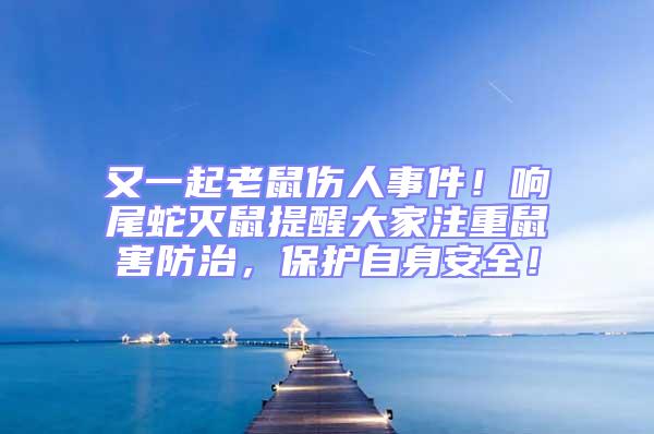 又一起老鼠傷人事件！響尾蛇滅鼠提醒大家注重鼠害防治，保護自身安全！
