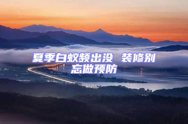 夏季白蟻頻出沒 裝修別忘做預(yù)防