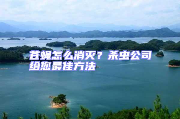 蒼蠅怎么消滅？殺蟲公司給您最佳方法