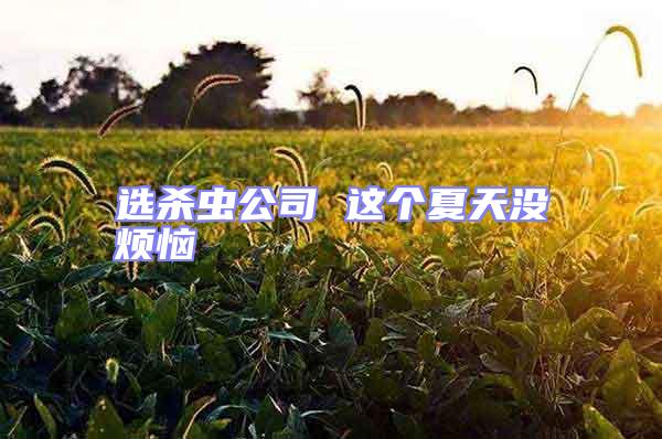 選殺蟲公司 這個夏天沒煩惱