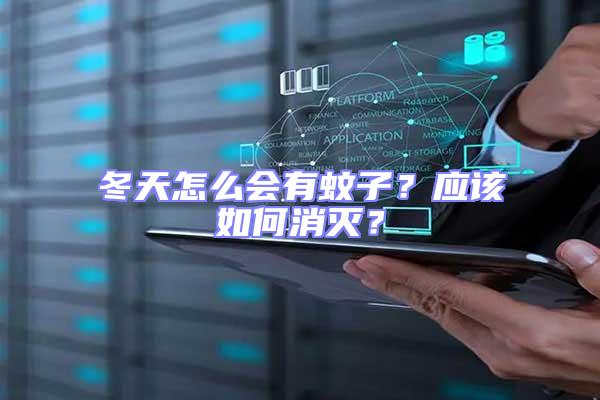 冬天怎么會有蚊子？應該如何消滅？