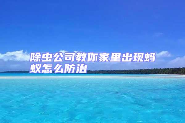 除蟲(chóng)公司教你家里出現(xiàn)螞蟻怎么防治