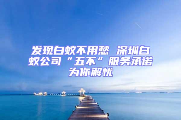發(fā)現(xiàn)白蟻不用愁 深圳白蟻公司“五不”服務承諾為你解憂