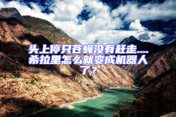 頭上停只蒼蠅沒有趕走....希拉里怎么就變成機器人了？