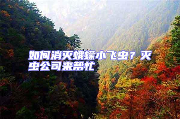 如何消滅蛾蠓小飛蟲？滅蟲公司來幫忙