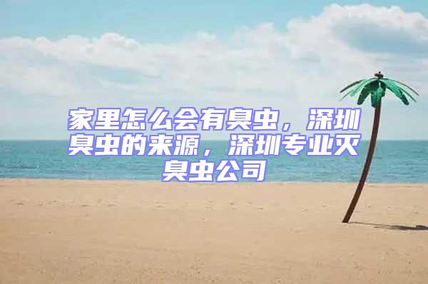 家里怎么會有臭蟲，深圳臭蟲的來源，深圳專業滅臭蟲公司