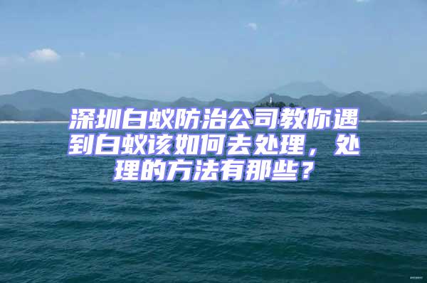 深圳白蟻防治公司教你遇到白蟻該如何去處理，處理的方法有那些？