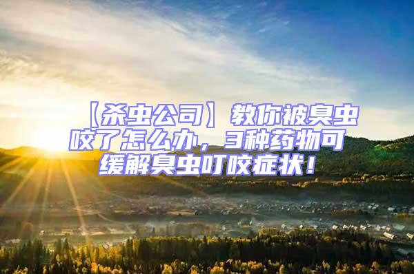 【殺蟲公司】教你被臭蟲咬了怎么辦，3種藥物可緩解臭蟲叮咬癥狀！