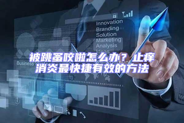 被跳蚤咬啦怎么辦？止癢消炎最快捷有效的方法