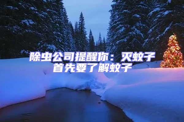 除蟲公司提醒你：滅蚊子首先要了解蚊子