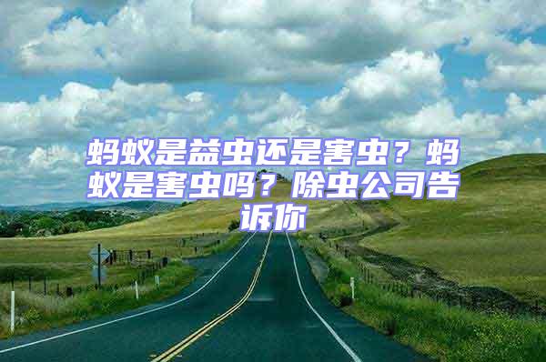 螞蟻是益蟲還是害蟲？螞蟻是害蟲嗎？除蟲公司告訴你