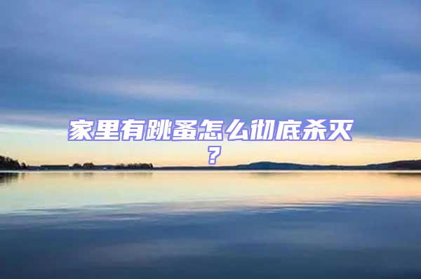 家里有跳蚤怎么徹底殺滅？
