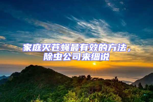 家庭滅蒼蠅最有效的方法，除蟲公司來細(xì)說
