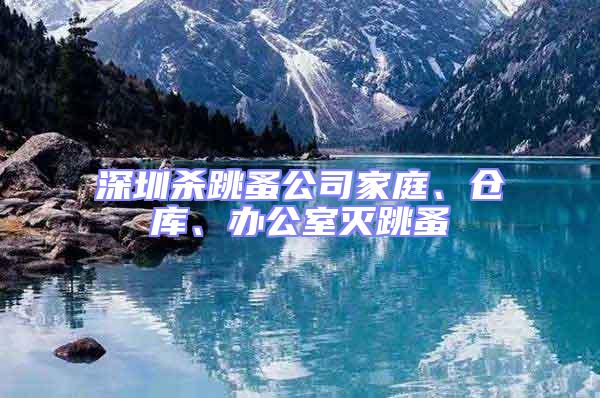深圳殺跳蚤公司家庭、倉庫、辦公室滅跳蚤