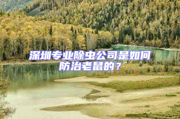 深圳專業除蟲公司是如何防治老鼠的？