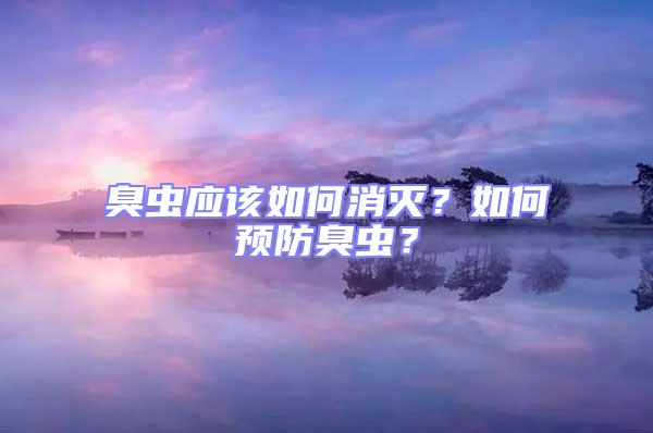 臭蟲應(yīng)該如何消滅？如何預(yù)防臭蟲？