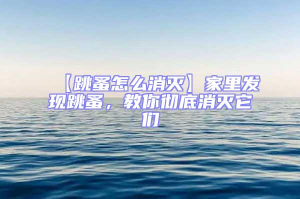 【跳蚤怎么消滅】家里發現跳蚤，教你徹底消滅它們