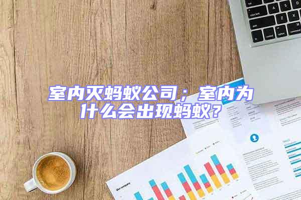 室內滅螞蟻公司；室內為什么會出現螞蟻？